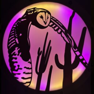 11 in Lamp Face - Barn Owl