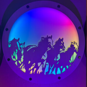 11 in Lamp Face - Wild Horses