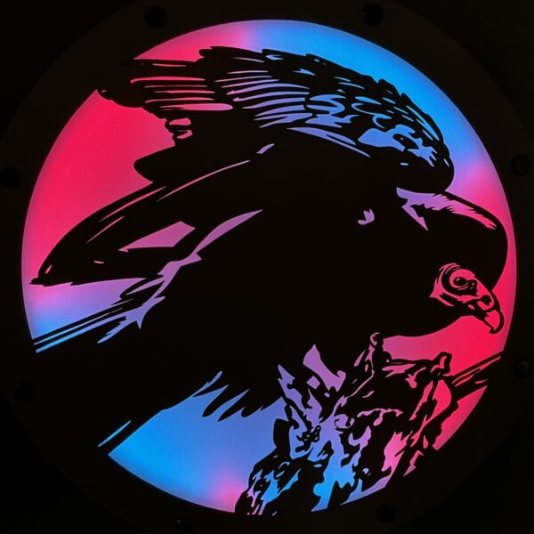 11 in Lamp Face - Turkey Vulture Fluffing